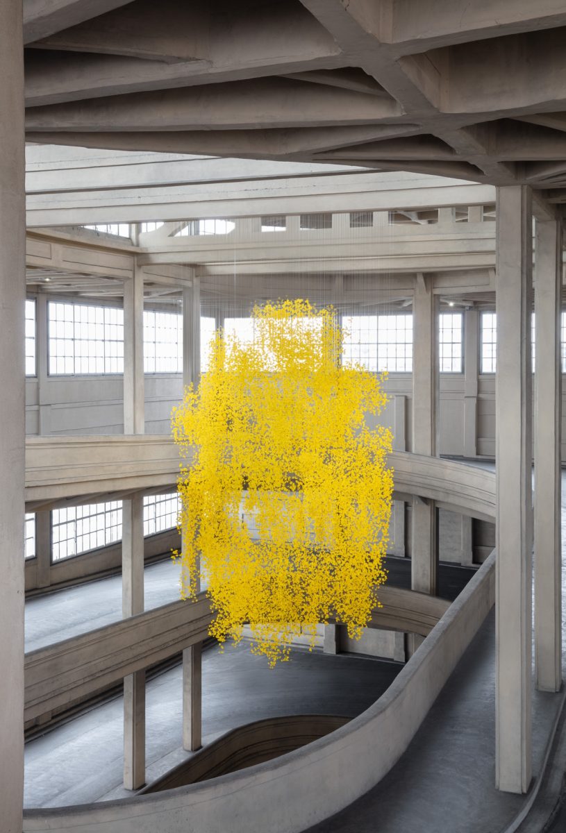 Installation view Allora & Calzadilla, Graft (Phantom Tree), 2025 Pinacoteca Agnelli Torino, 2025 Image Courtesy Pinacoteca Agnelli, Torino Ph. Credit Sebastiano Pellion di Persano
