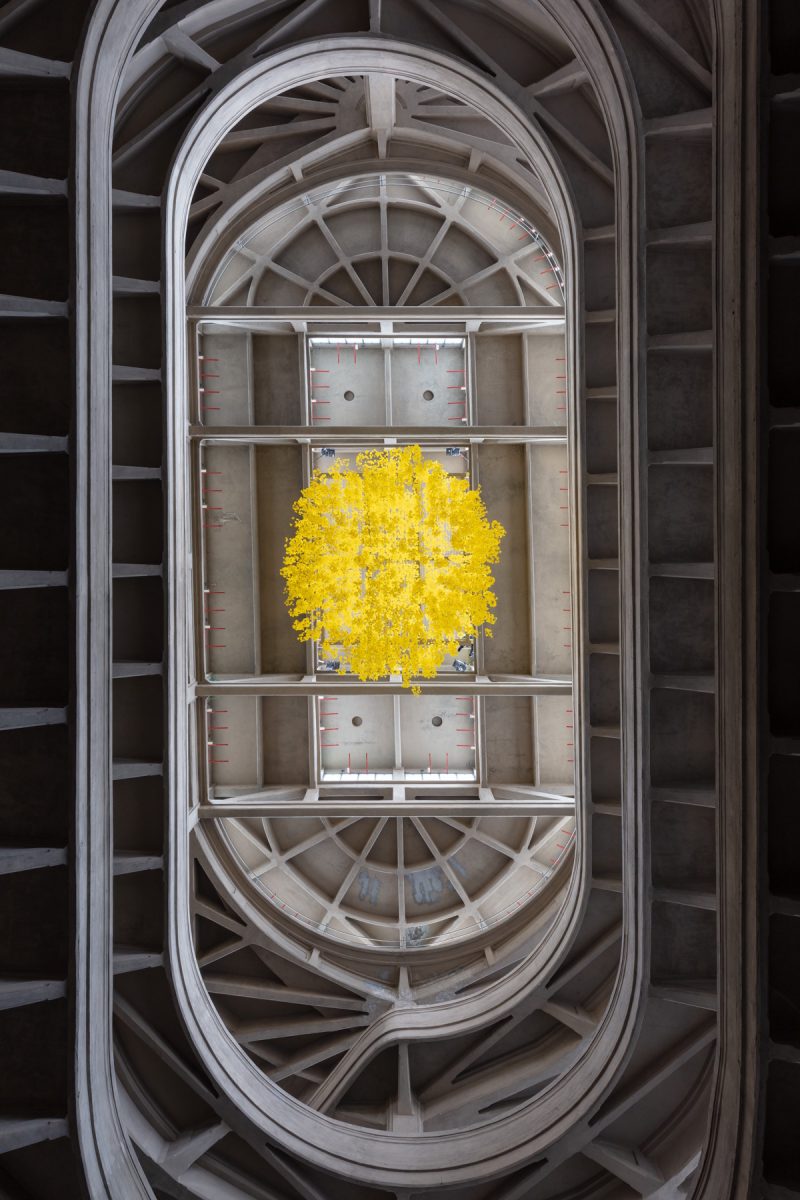 Installation view Allora & Calzadilla, Graft (Phantom Tree), 2025 Pinacoteca Agnelli Torino, 2025 Image Courtesy Pinacoteca Agnelli, Torino Ph. Credit Sebastiano Pellion di Persano