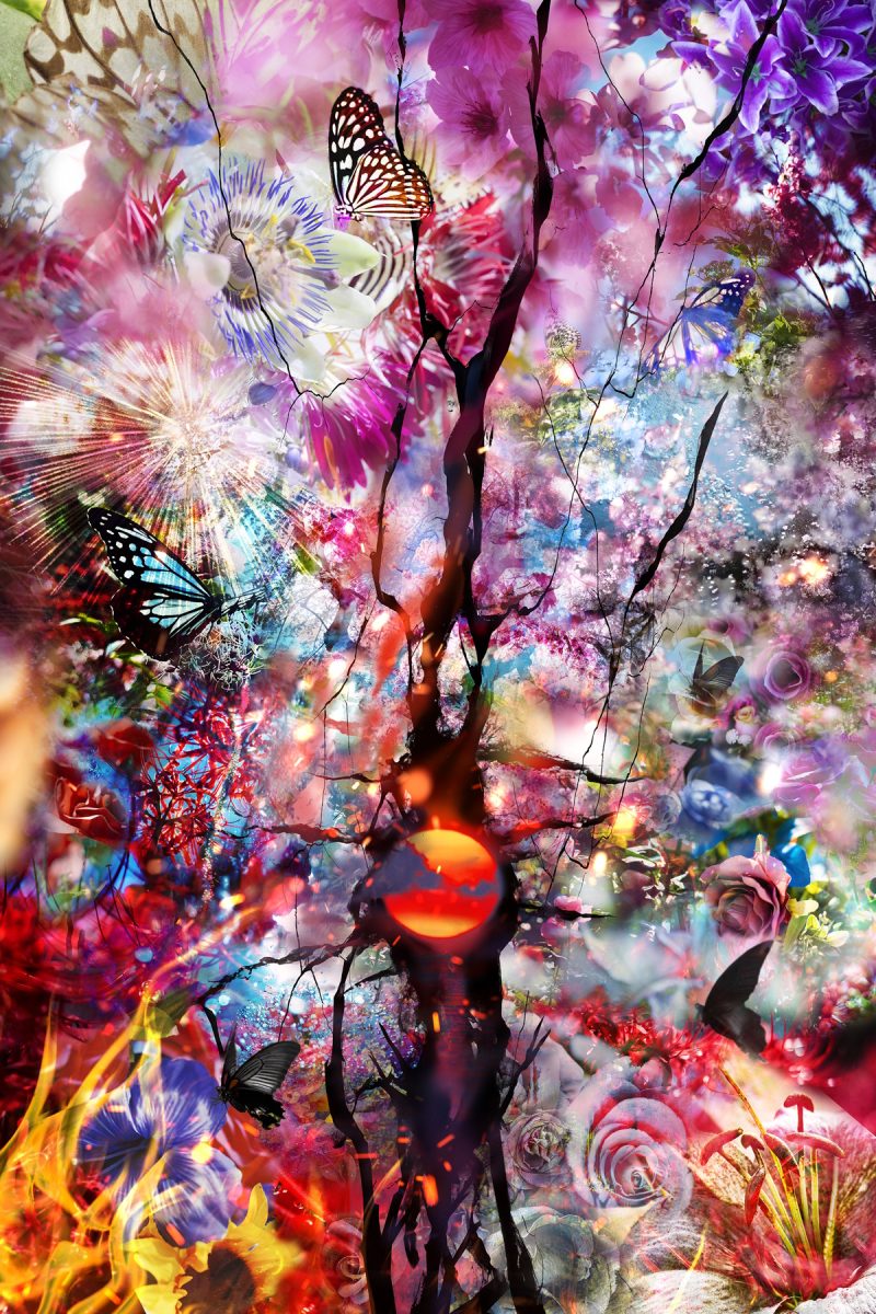 Mika NINAGAWA with EiM: INTERSTICE