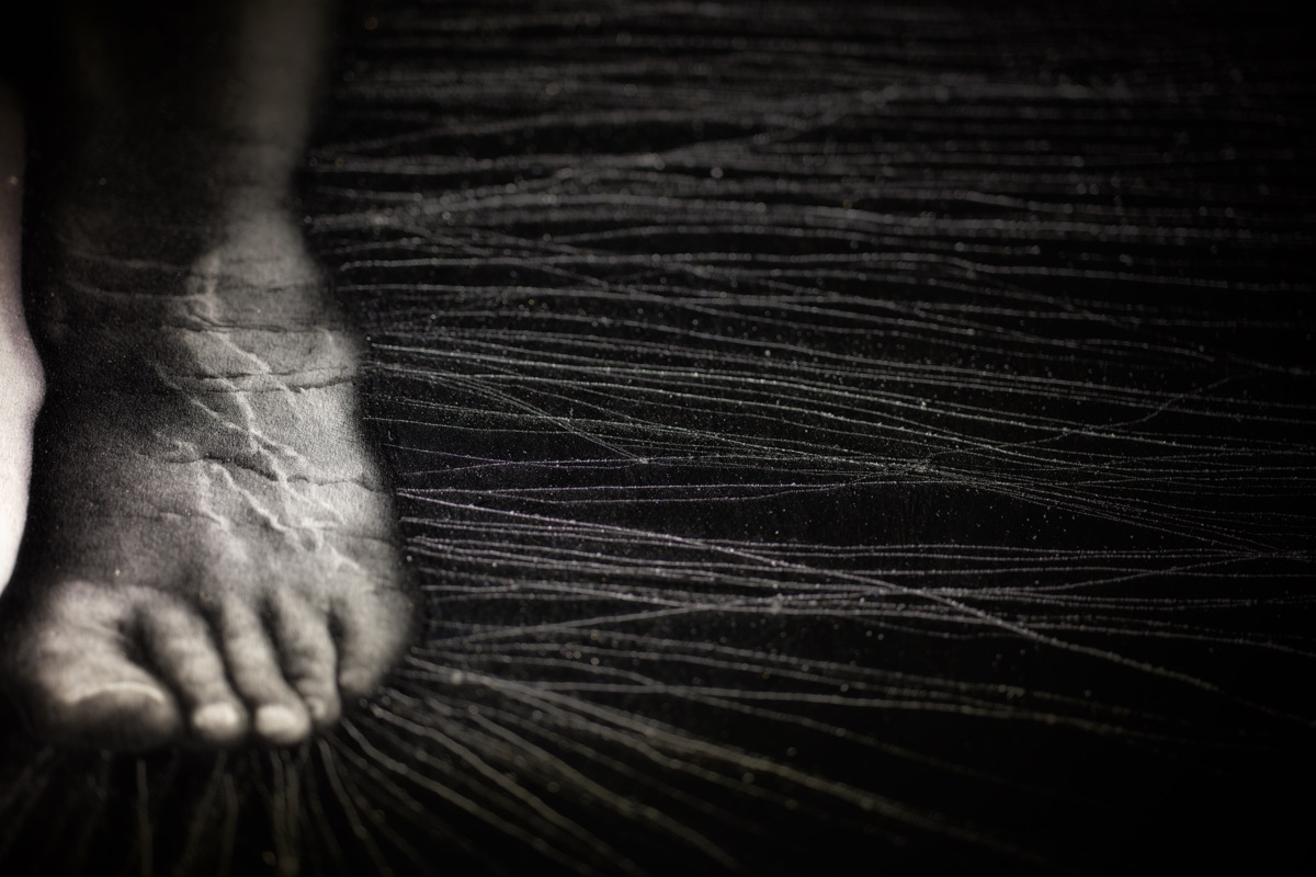 Andrea Lelario, Eva,2015_19, grafite su cartoncino, cm180 x72, particolare, photo Andrea Lelario