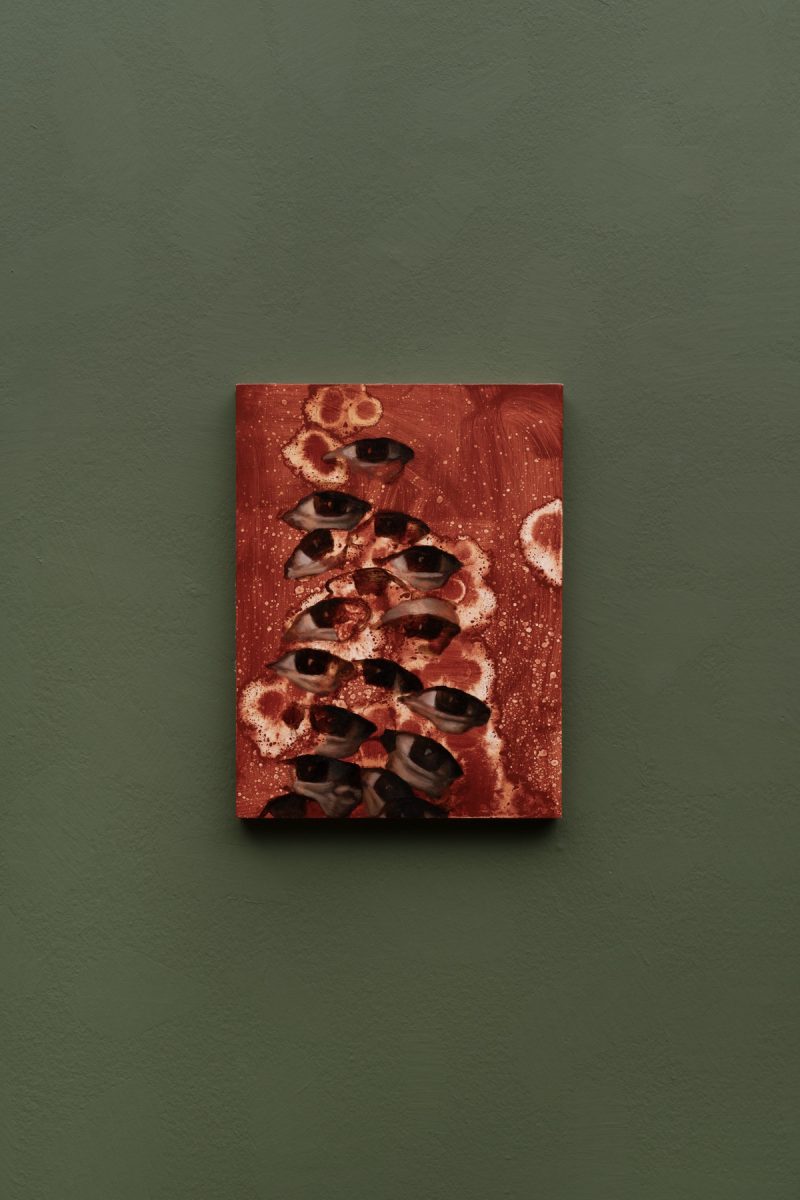 Lewis Hammond Untitled (Europa, full of holes)_2024