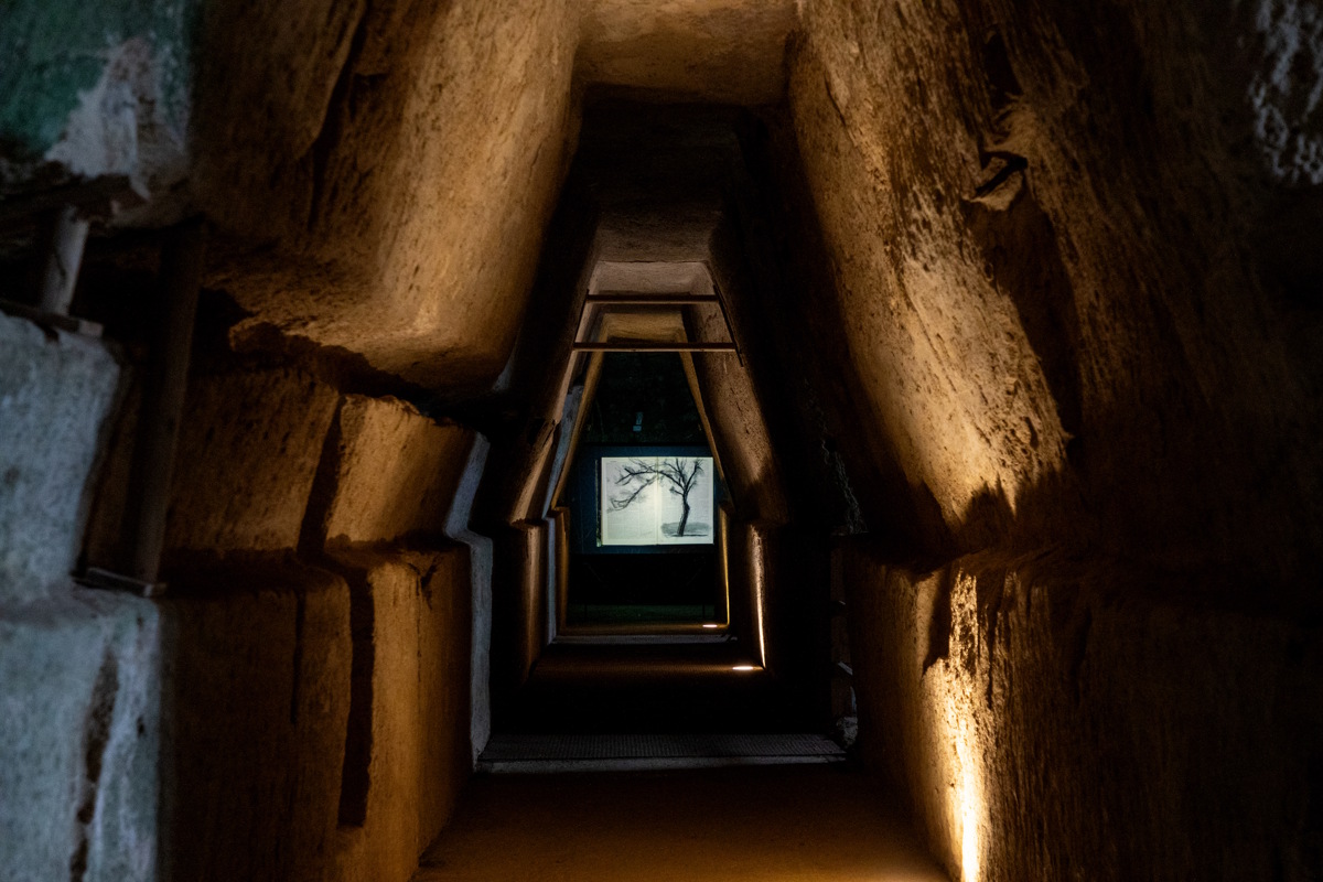 William Kentridge Sibily 2020 Courtesy dell’artista e of the artist and Galleria Lia Rumma