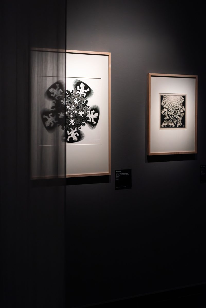 Escher, Mudec - Foto di Carlotta Coppo