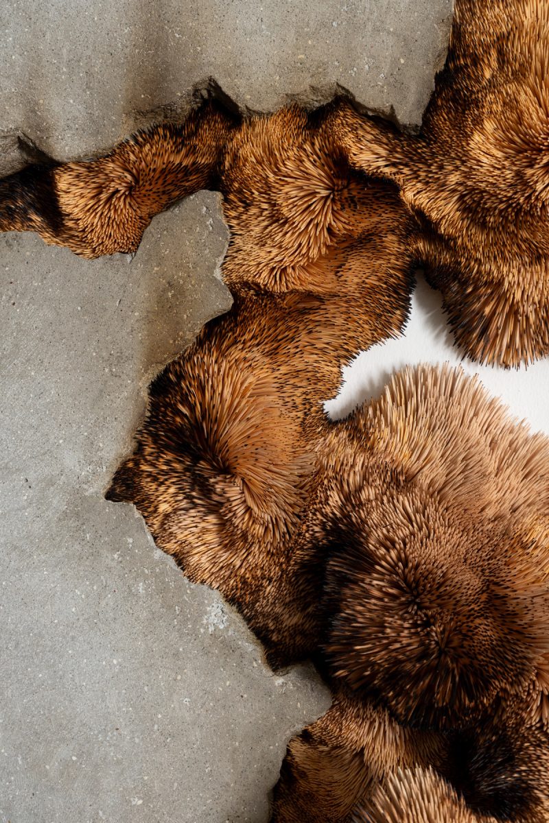 Fractured into form (detail) 2025, Burnt and Unburnt Bamboo and Birch Wood Toothpicks held in Polyurethane Sealant, Glass Fibre Reinforced Concrete with Used Motor Car Oil and Rebar 159 x 120 x 27 cm Photographer: Matt Slater, Courtesy Piero Atchugarry Gallery and the Artist