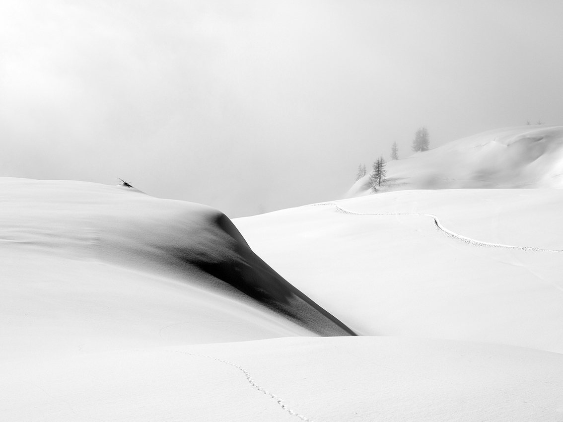 Mario Vidor - Dolomiti - 2014