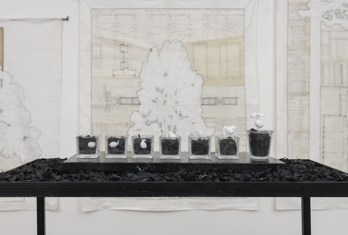 Silvia Scaringella - Deus sive natura - ph. Giorgio Benni