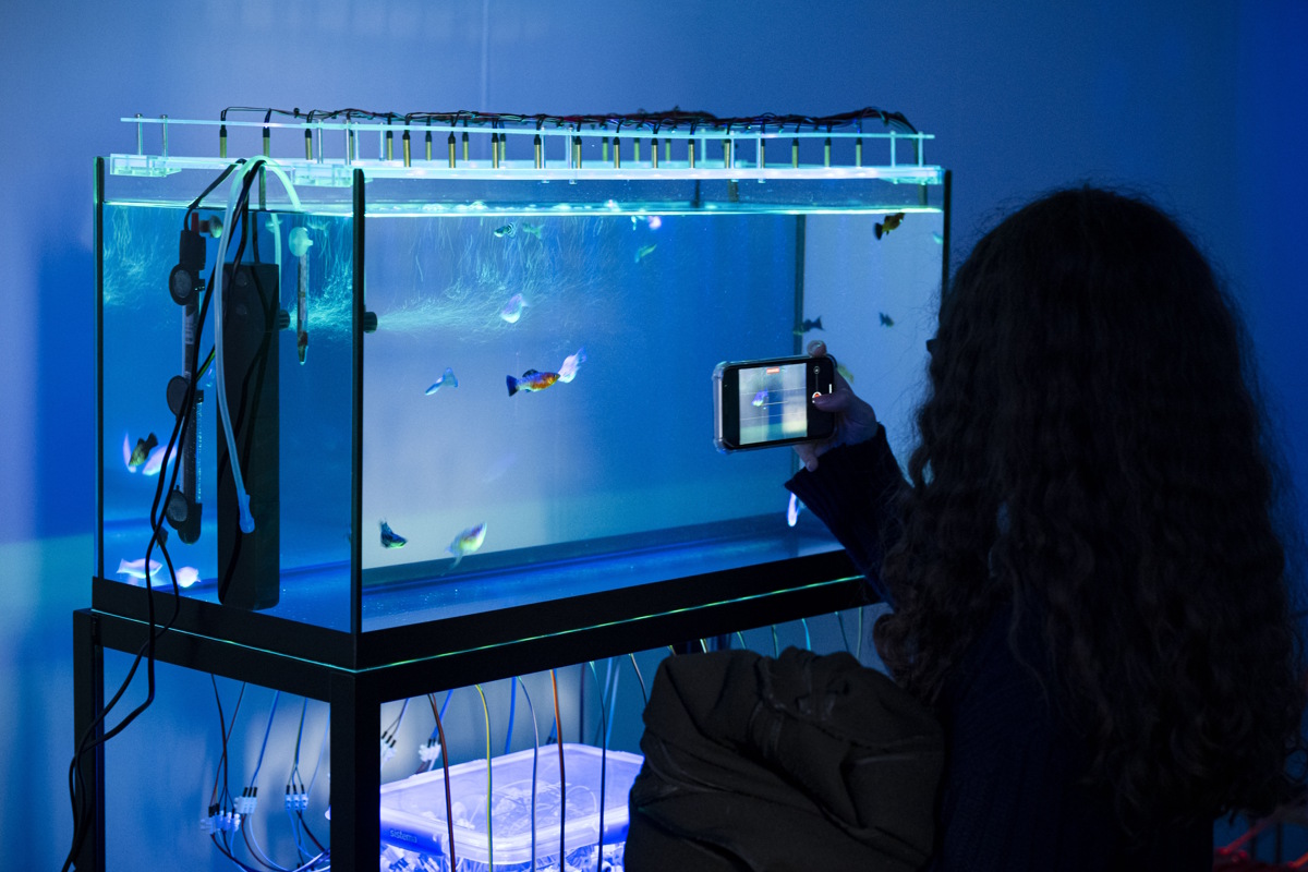 © Photo: Perottino-Piva-Castellano-Peirone/ Artissima 2024