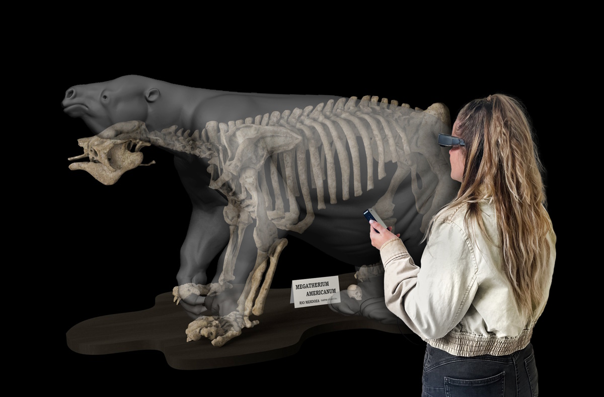 ARchivi - Megaterio_scheletro-AR - ©ARtGlass.jpg Il tour su smartglass al Museo di Storia Naturale - lo scheletro in Realtà Aumentata