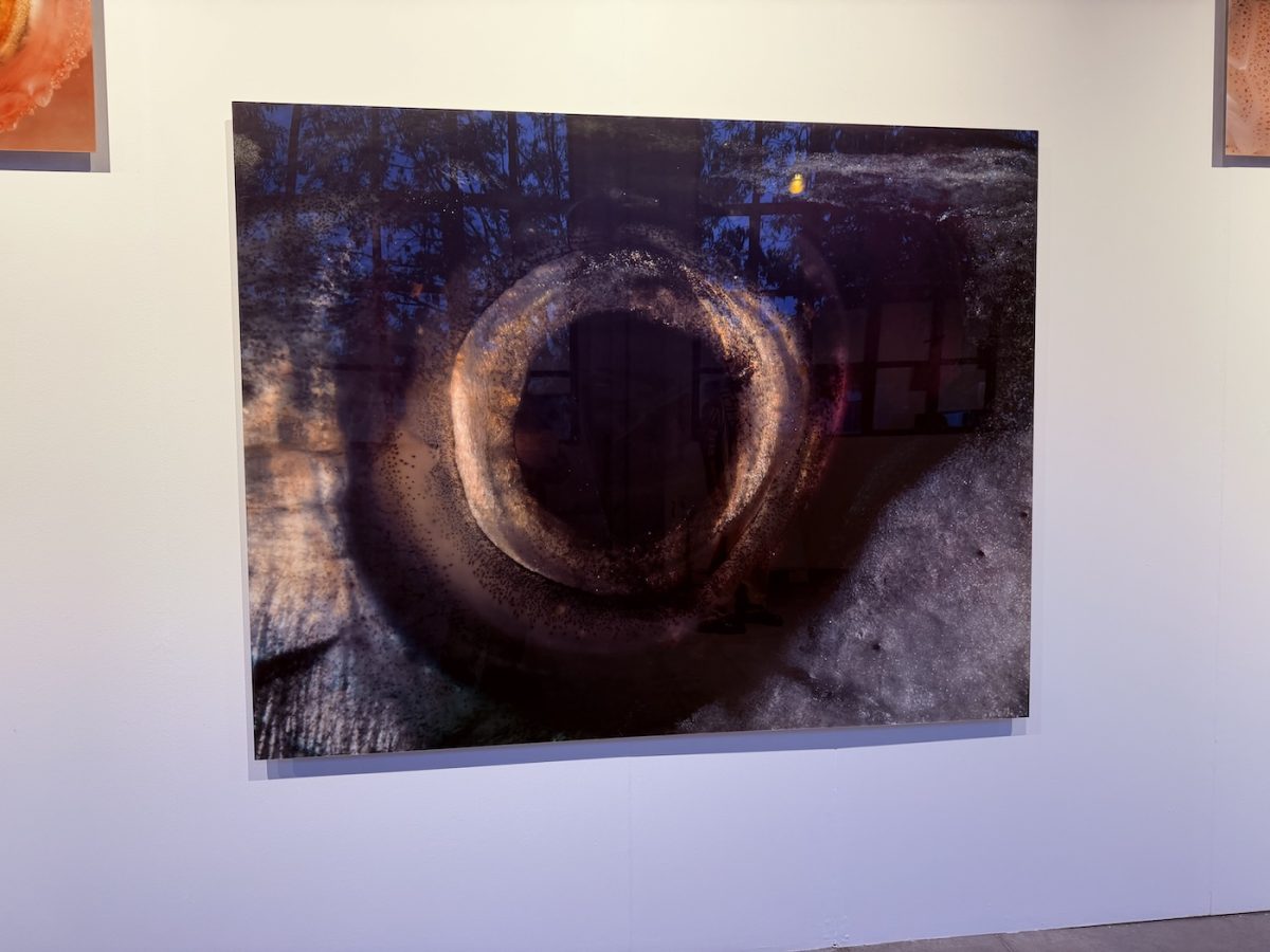 Invocations. Becoming Animal, Bienalsur