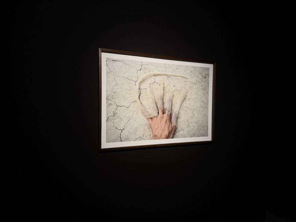 Invocations. Becoming Animal, Bienalsur