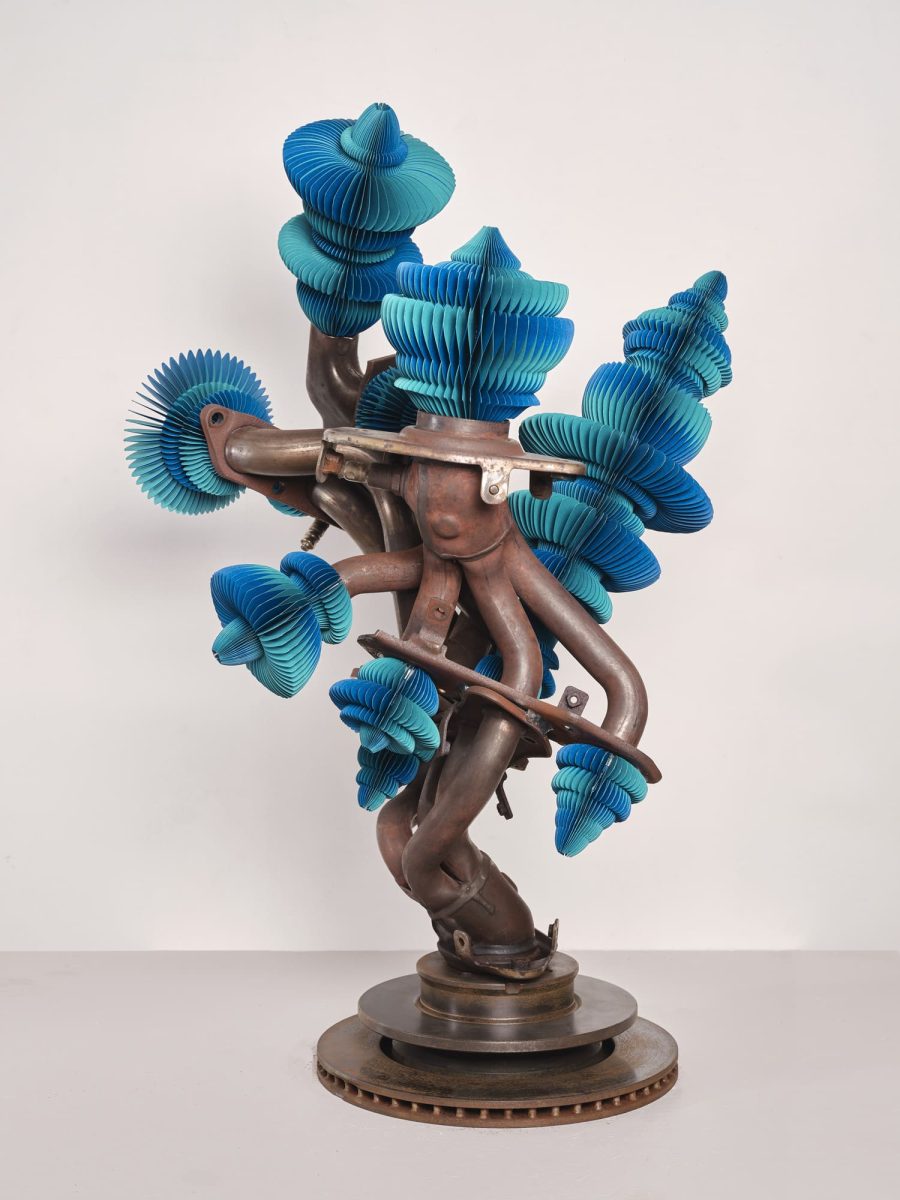 Keita Miyazaki, Blue Turmoil