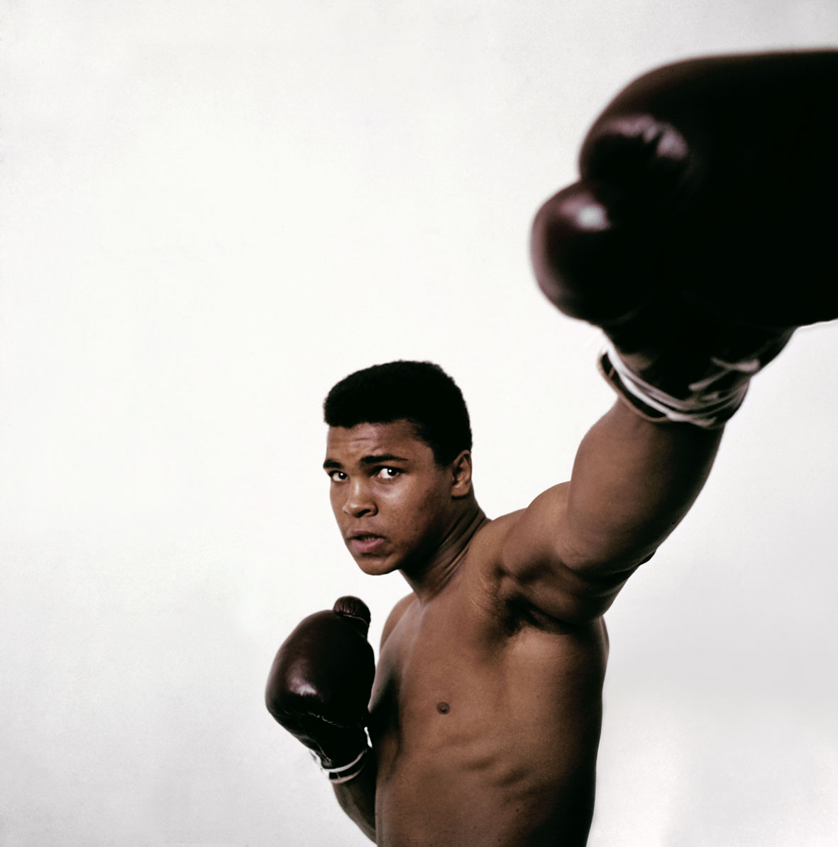 Il campione Cassius Clay, prima di cambiare il proprio nome in Muhammad Ali, New York, 1963 © Philippe Halsman Archive 2025