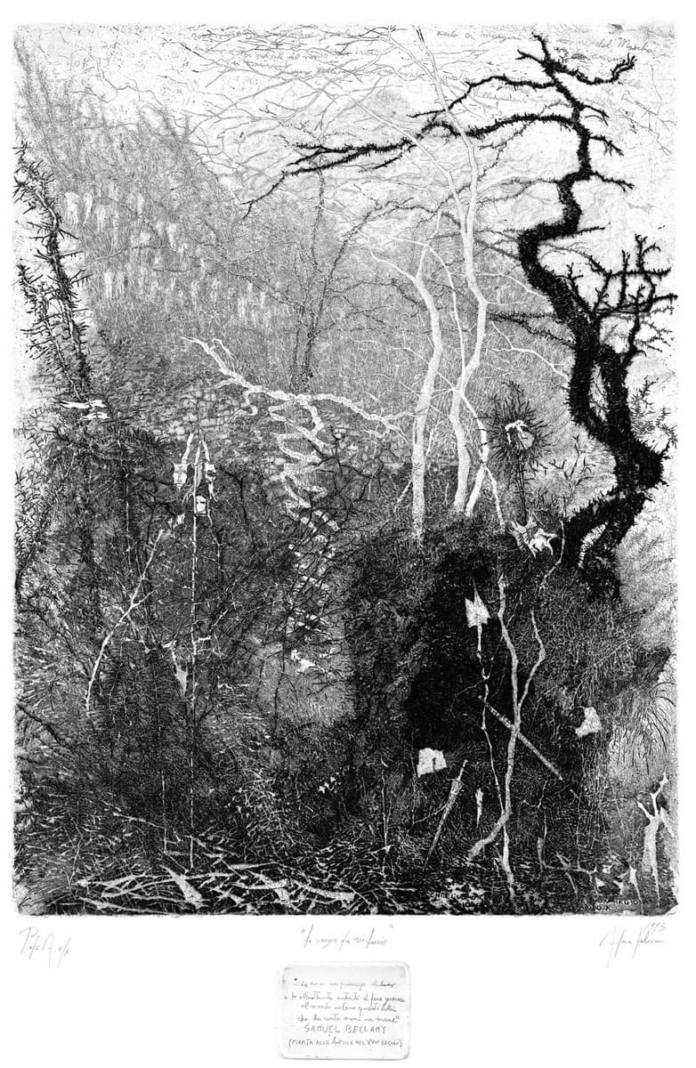 Andrea Lelario, LE VERGER DU ROI LOUIS (1995), etching, drypoint end engraving on copper, cm 495x365. Frame 70x50. Credits by Andrea Lelario