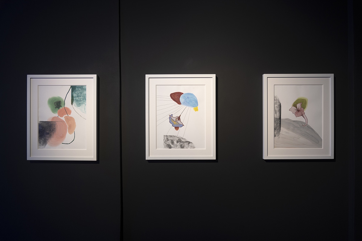 DECLINAZIONI CONTEMPORANEE MAO