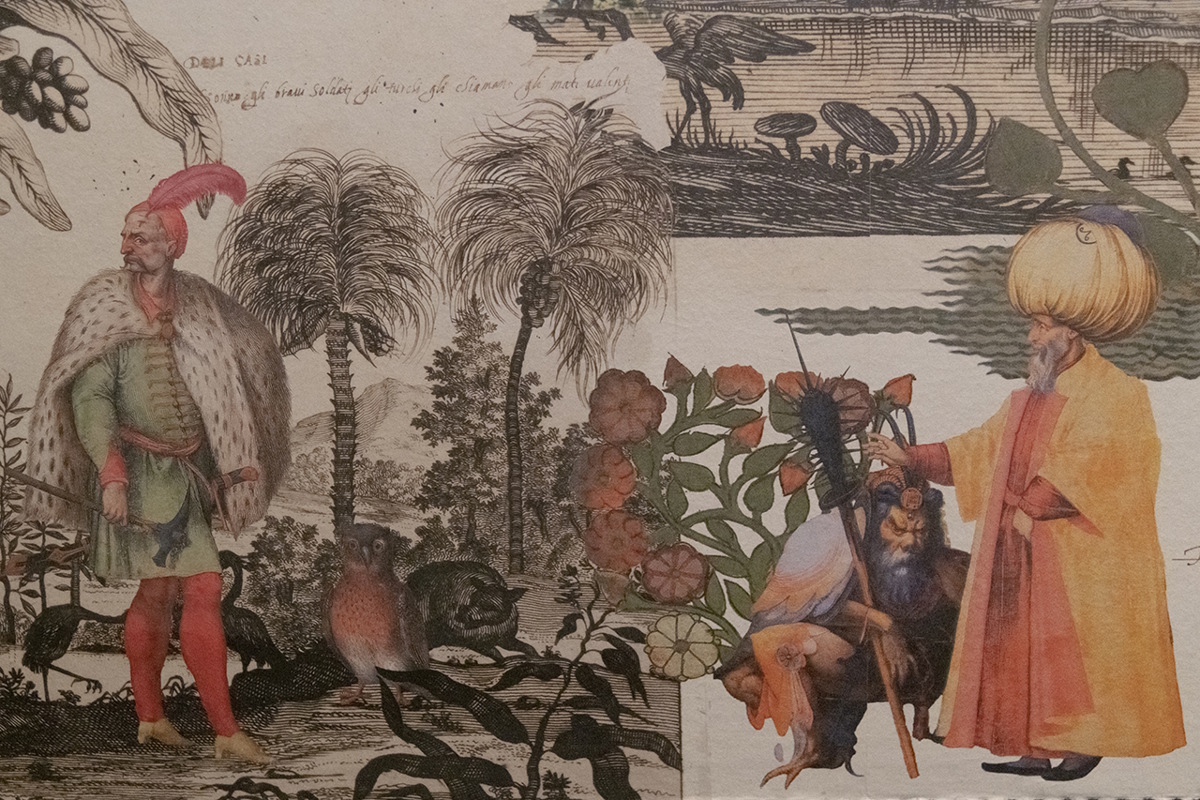 DECLINAZIONI CONTEMPORANEE MAO