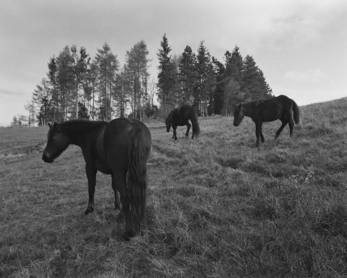 Alta Val Nure ©Sergio Ferri