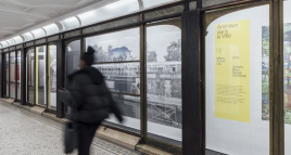 Animaux dans la Ville