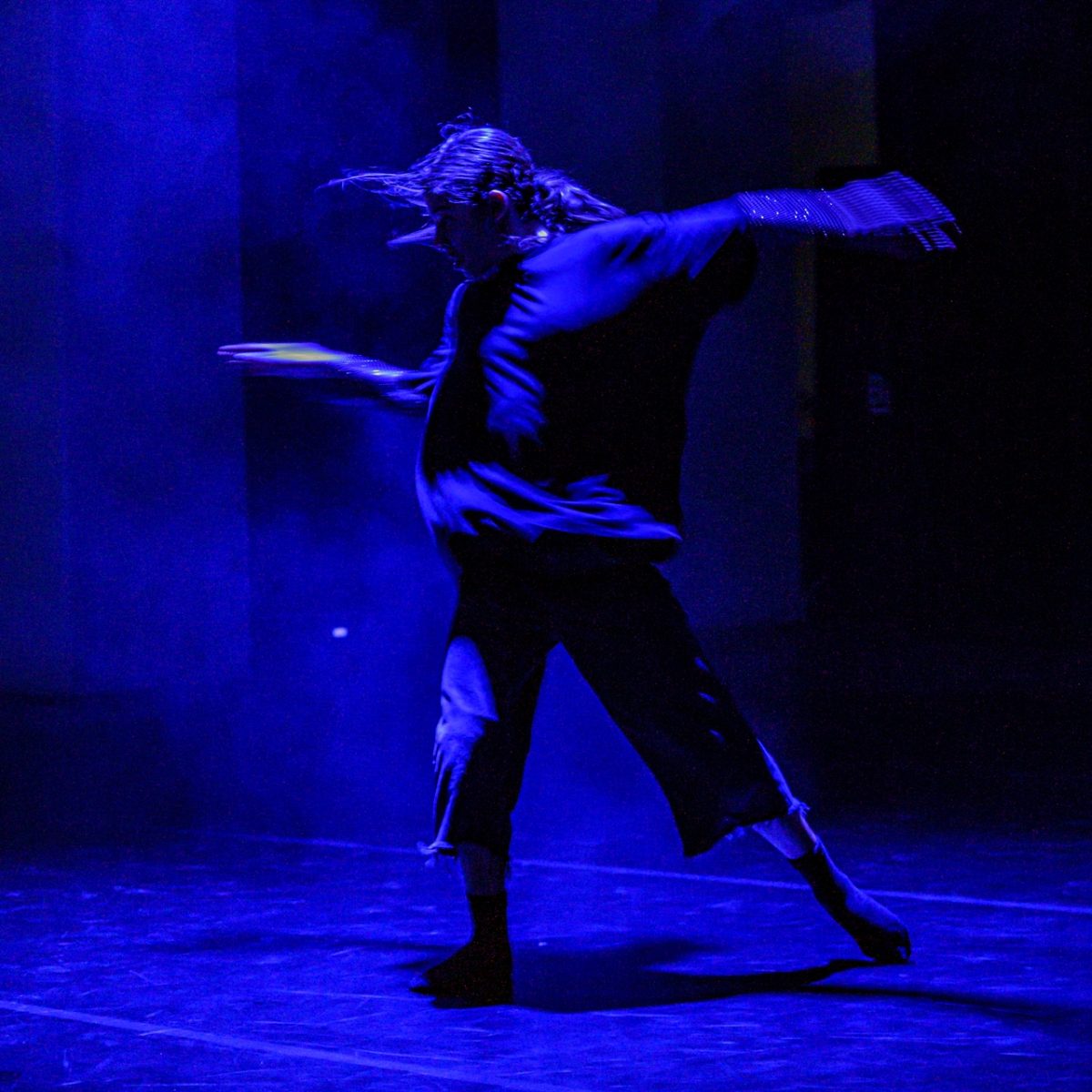 Erbacce Museo Temporaneo delle Esperienze