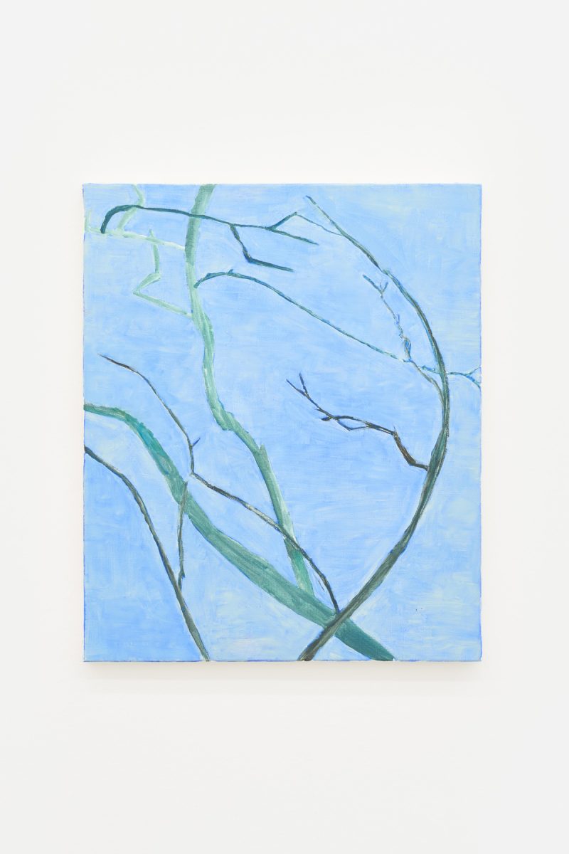 Emo Verkerk, Twigs , 2002, oil paint on linen, 60 × 50 cm
