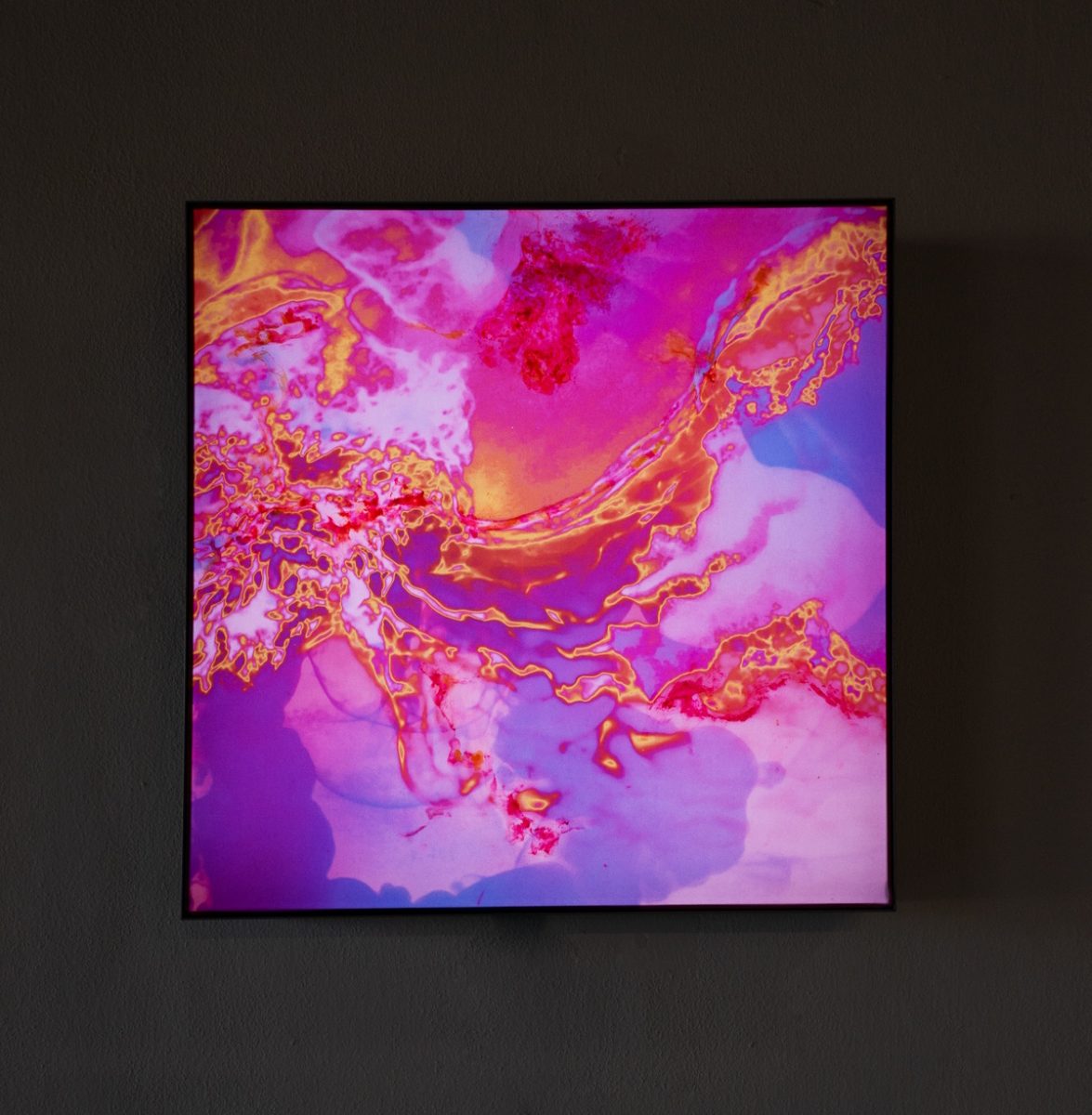 Human Cosmogony 6 Queenslight di AVVASSENA