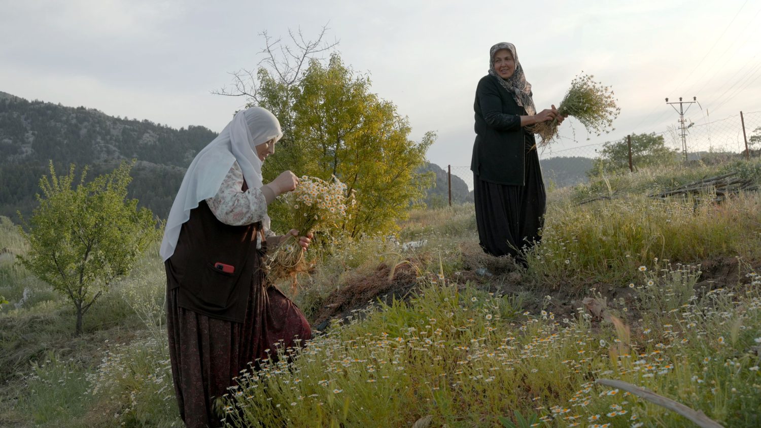 Scena da un documentario presentato al Pordenone Docs Fest 2026 dedicato al Medio Oriente