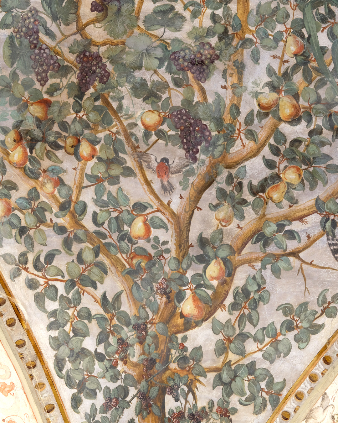 Dettaglio della decorazione della Sala Fogliami al Museo di Palazzo Grimani a Venezia