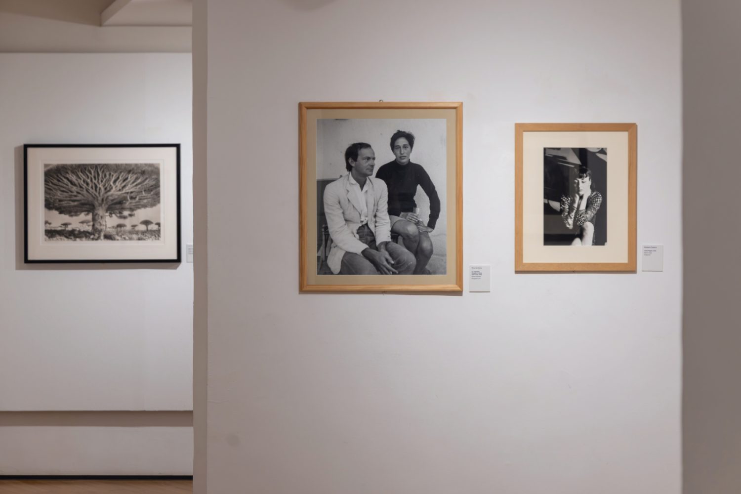 Allestimento della mostra Lanterne magiche al Museo Carlo Bilotti Aranciera di Villa Borghese a Roma