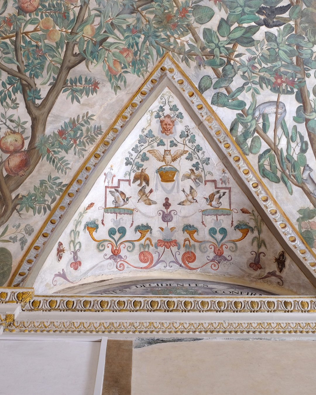 Veduta interna della Sala Fogliami del Museo di Palazzo Grimani a Venezia