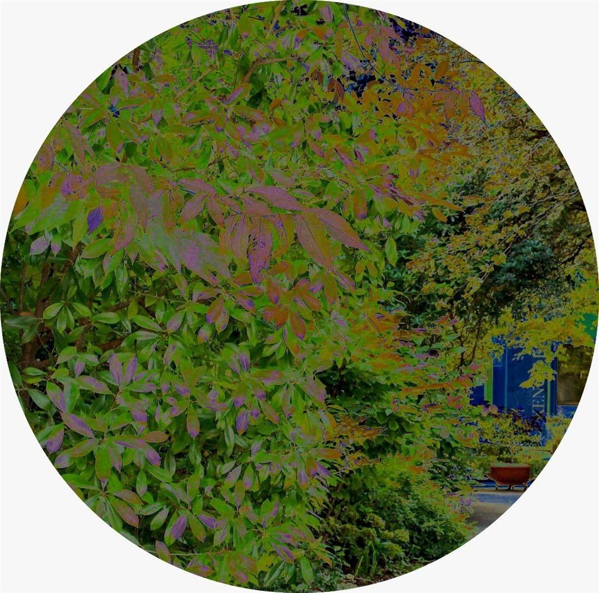 Opera di Maria Novella Papafava dei Carraresi al Parco Frassanelle per Design in Villa 2026