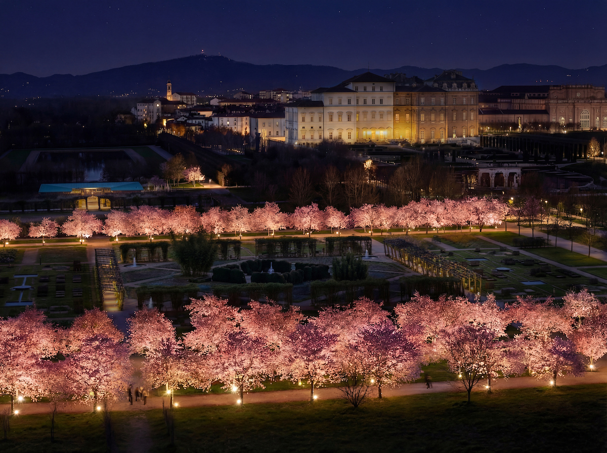 Veduta notturna della Reggia di Venaria con i ciliegi illuminati durante l'hanami