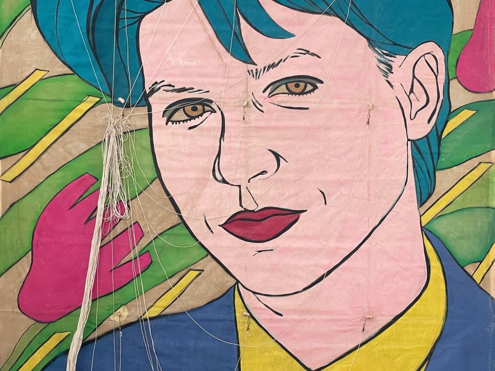 Aquiloni artistici olandesi della mostra The Hague Air Gallery esposti a Cervia