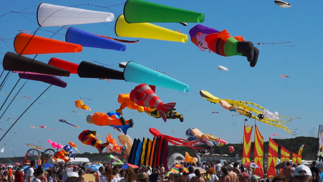 Veduta del festival Artevento con aquiloni in volo sulla spiaggia di Pinarella a Cervia